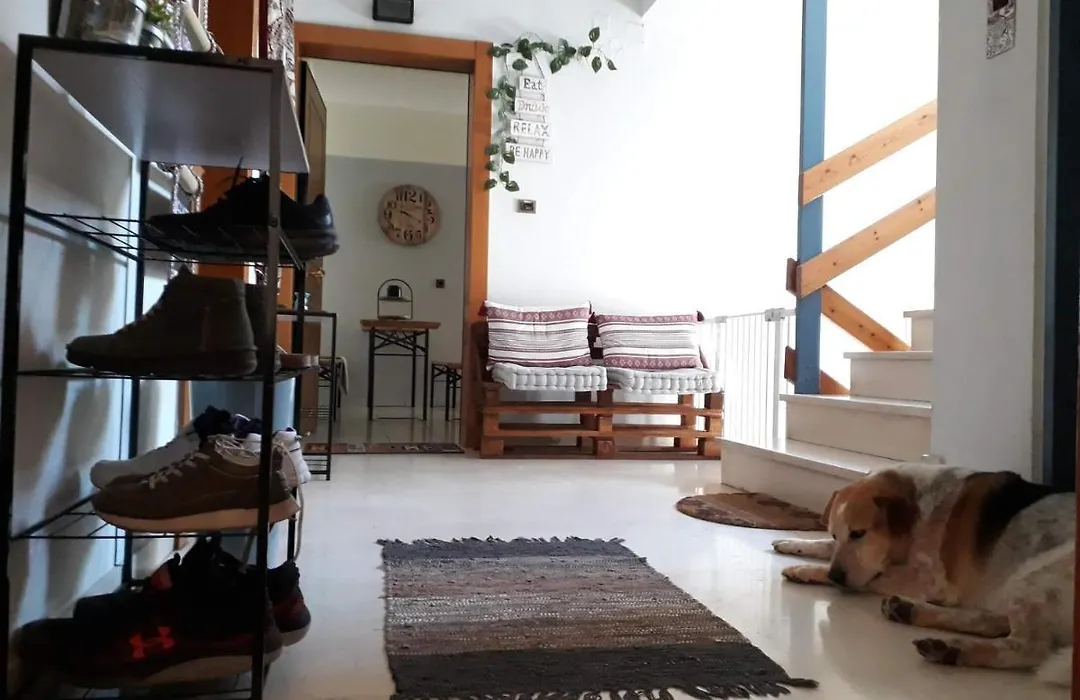 Urban Yoga House Hostel & Retreat-1