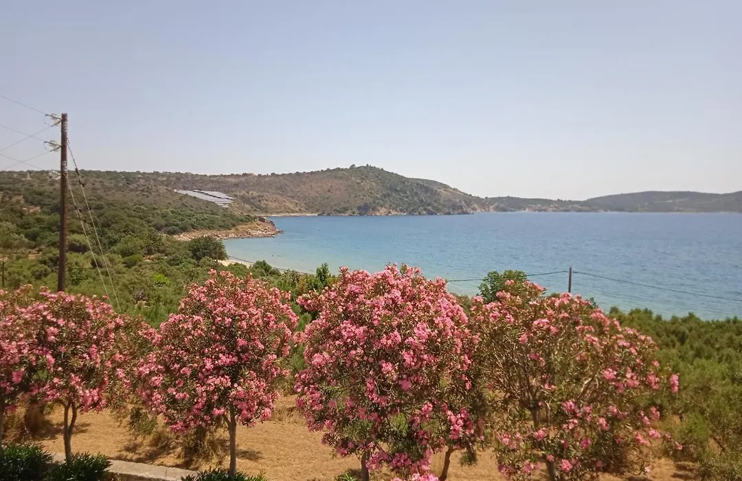 Skoutari Beach Hotel-1
