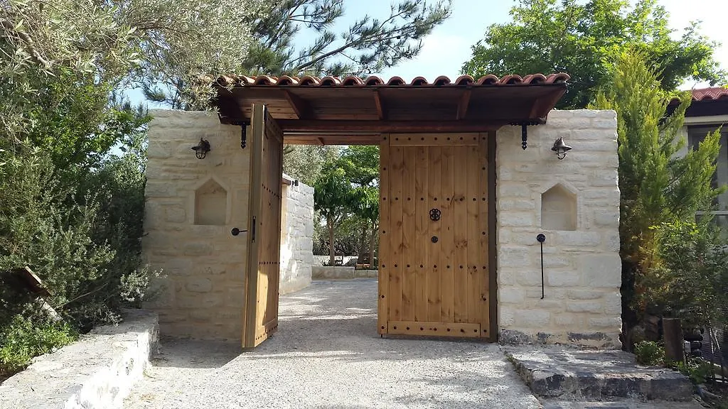 Ελαιώνας-1
