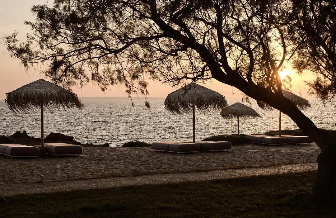 Cove Paros-1
