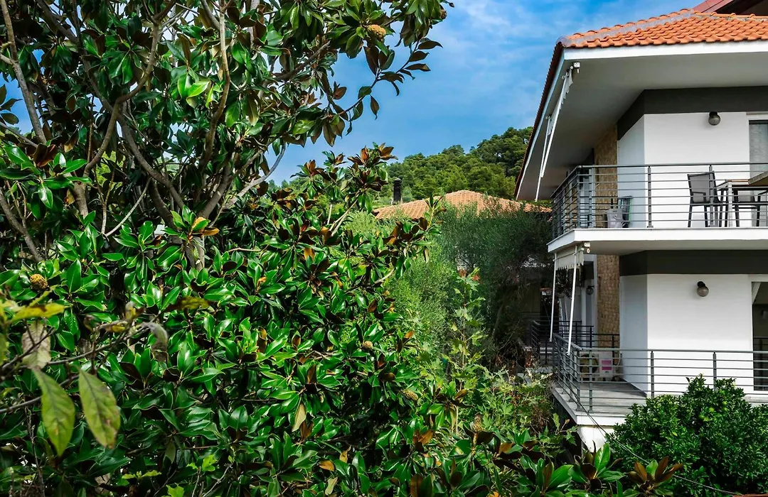 Newstory Suites Possidi-1