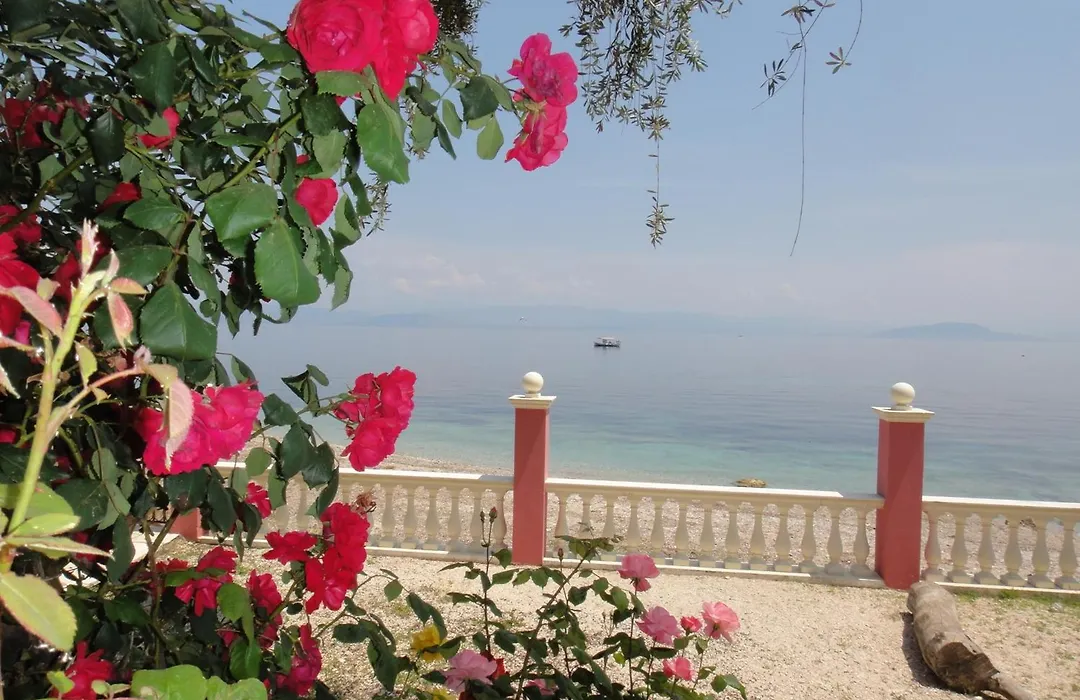 Apartments Corfu Sun Sea Side-1