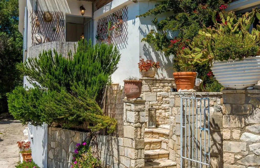 thodoroulis-1