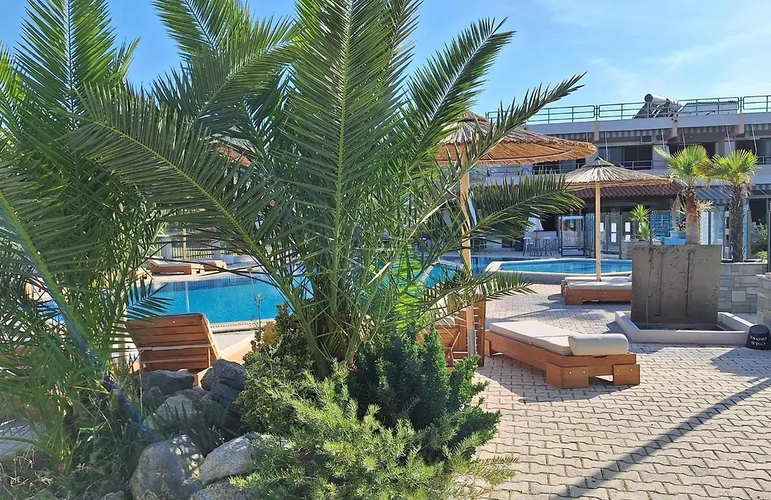 Hotel Palmera Sarti-1