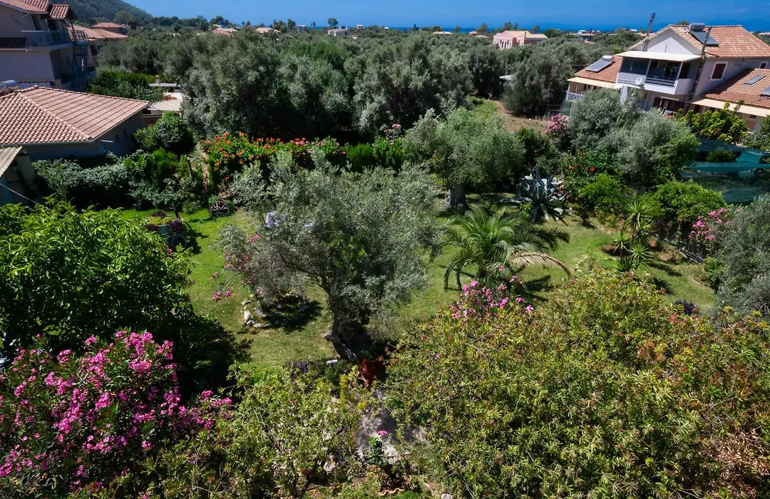 Villa Verde Fenia-1