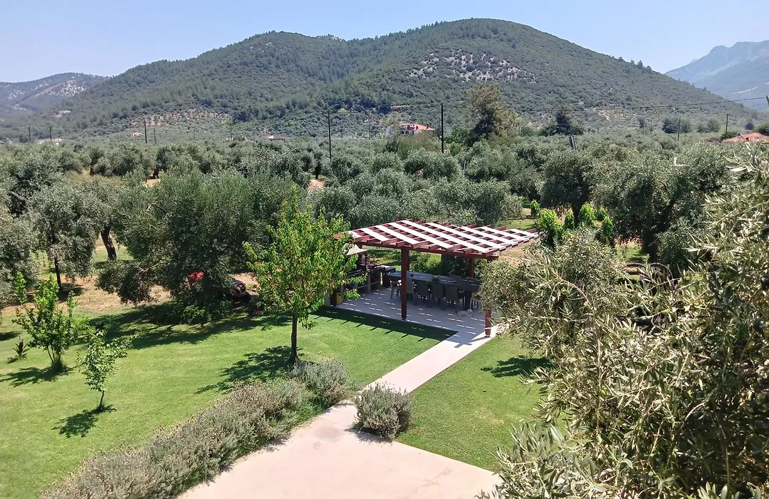 Anatoli Studios-1