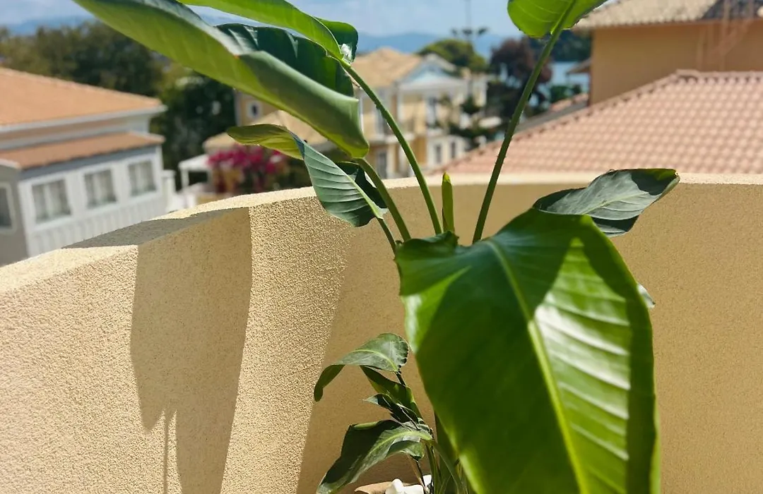 Eva Beach Hotel Lefkada-1