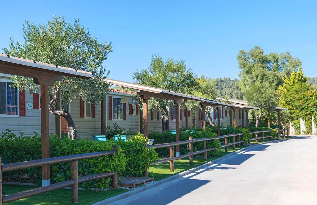 Camping Castello-1