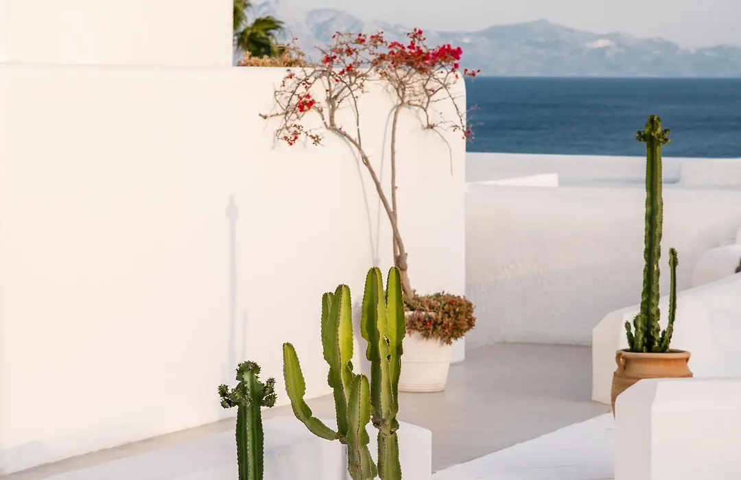 Mykonos Blu, A Resort To Live-1