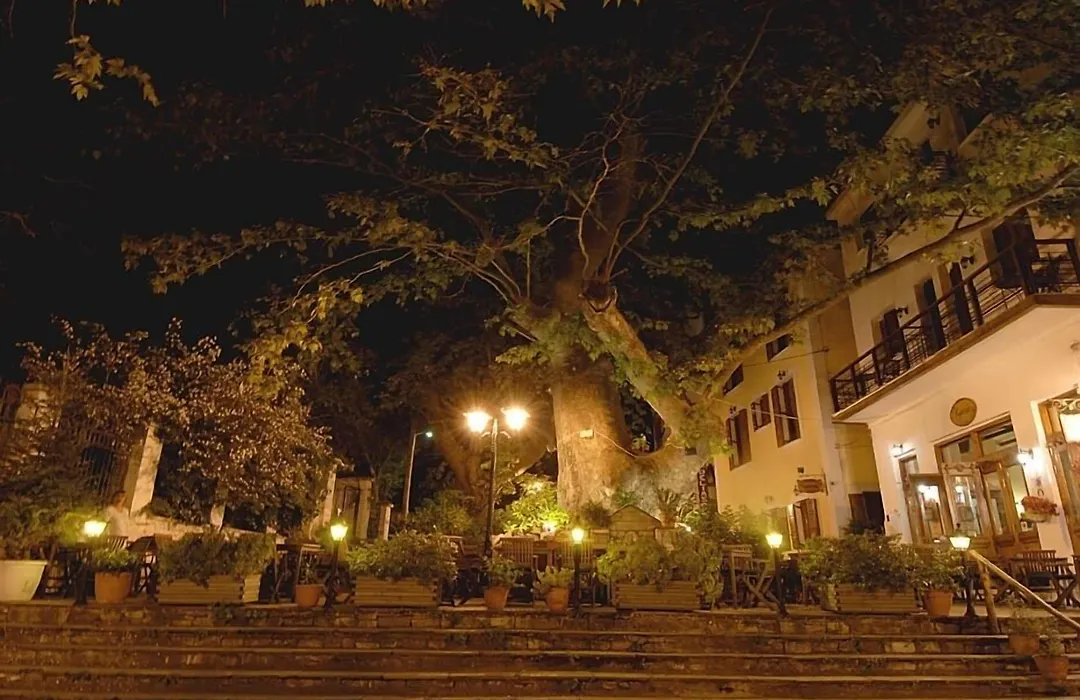 Gastronomy Hotel Kritsa-1