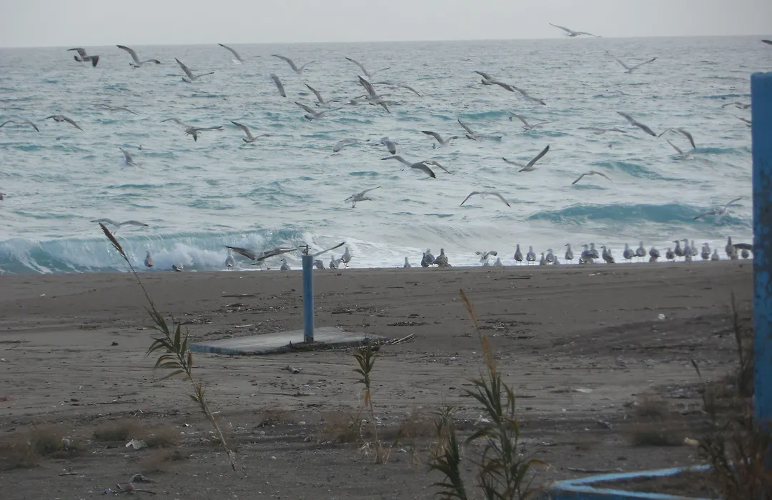 Kastri Beach-1