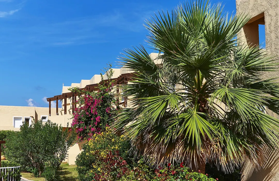 Vasia Sea Retreat (Adults Only)-1