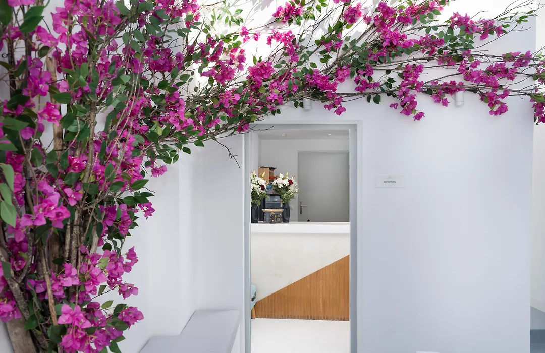 Cycladic Suites & Spa-1