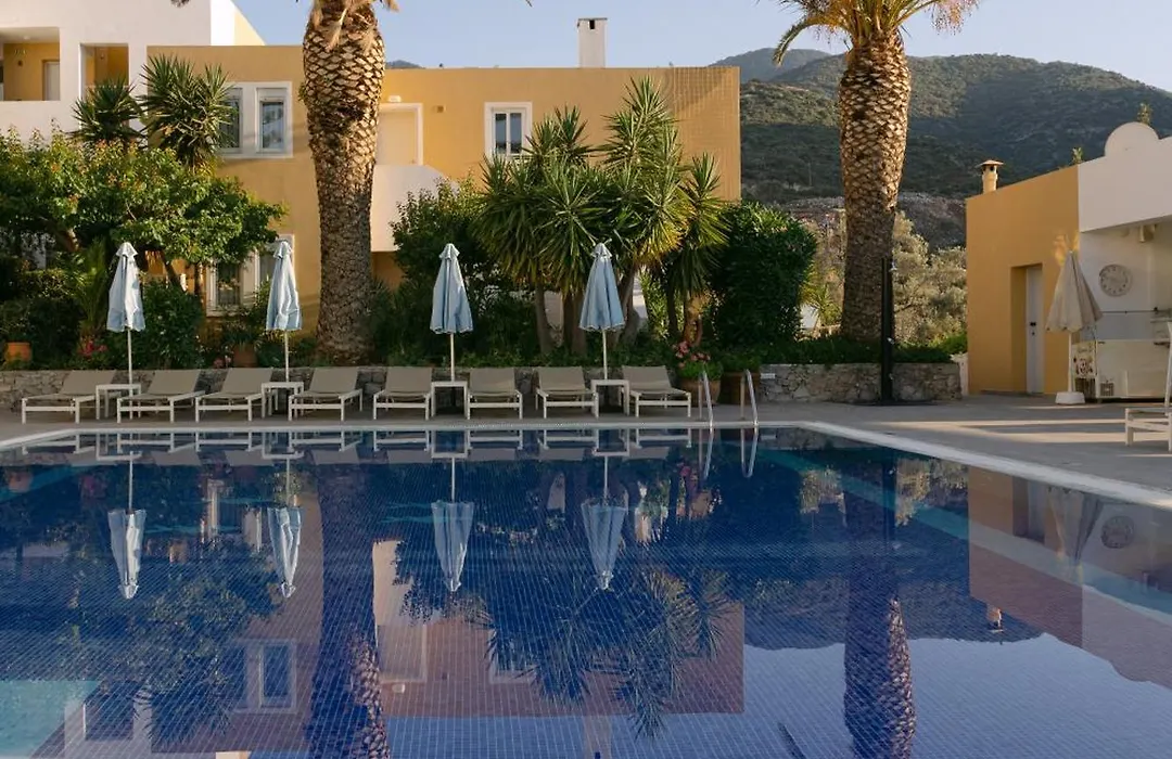 Xidas Garden-1