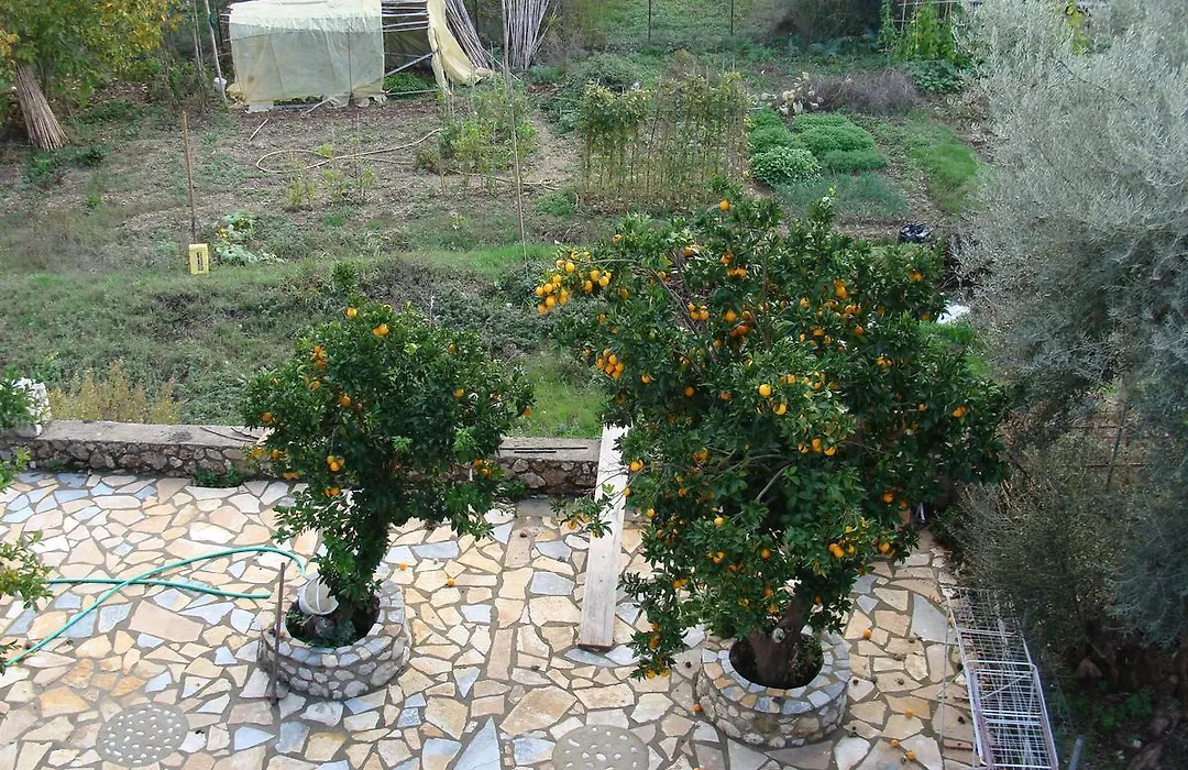Βίλλα Γαλήνη-1