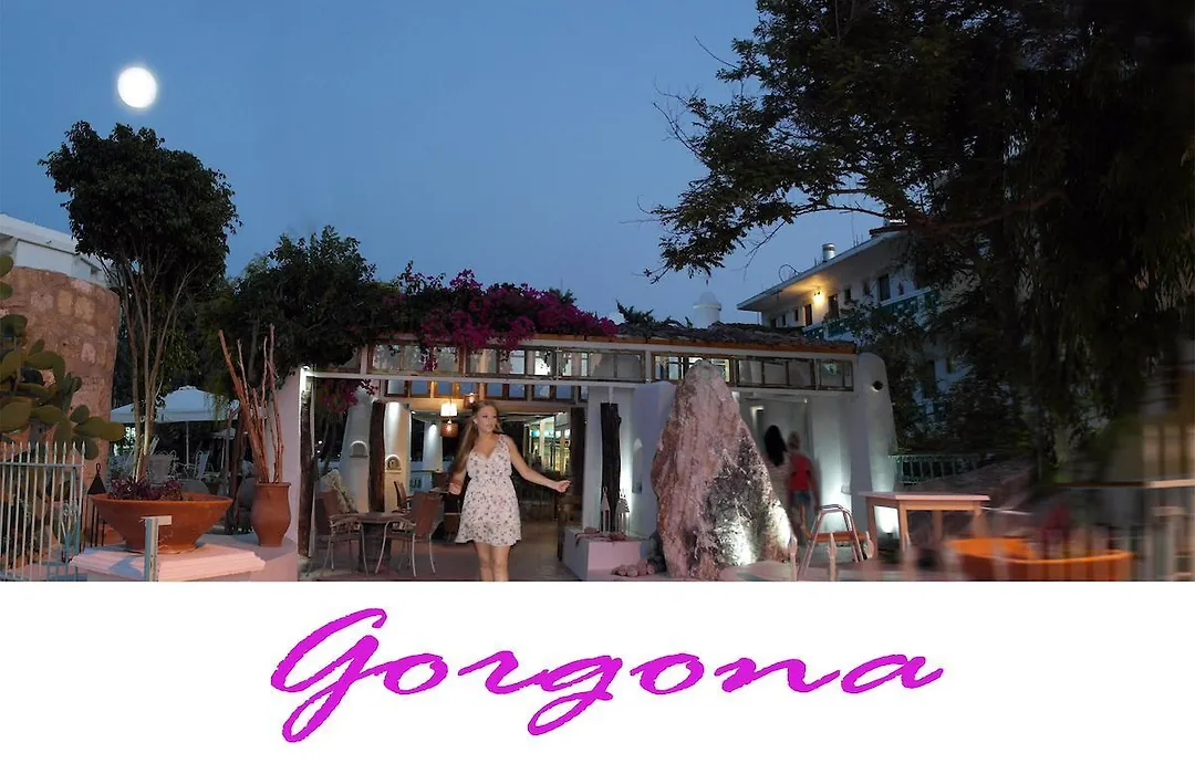 Gorgona Studios-1