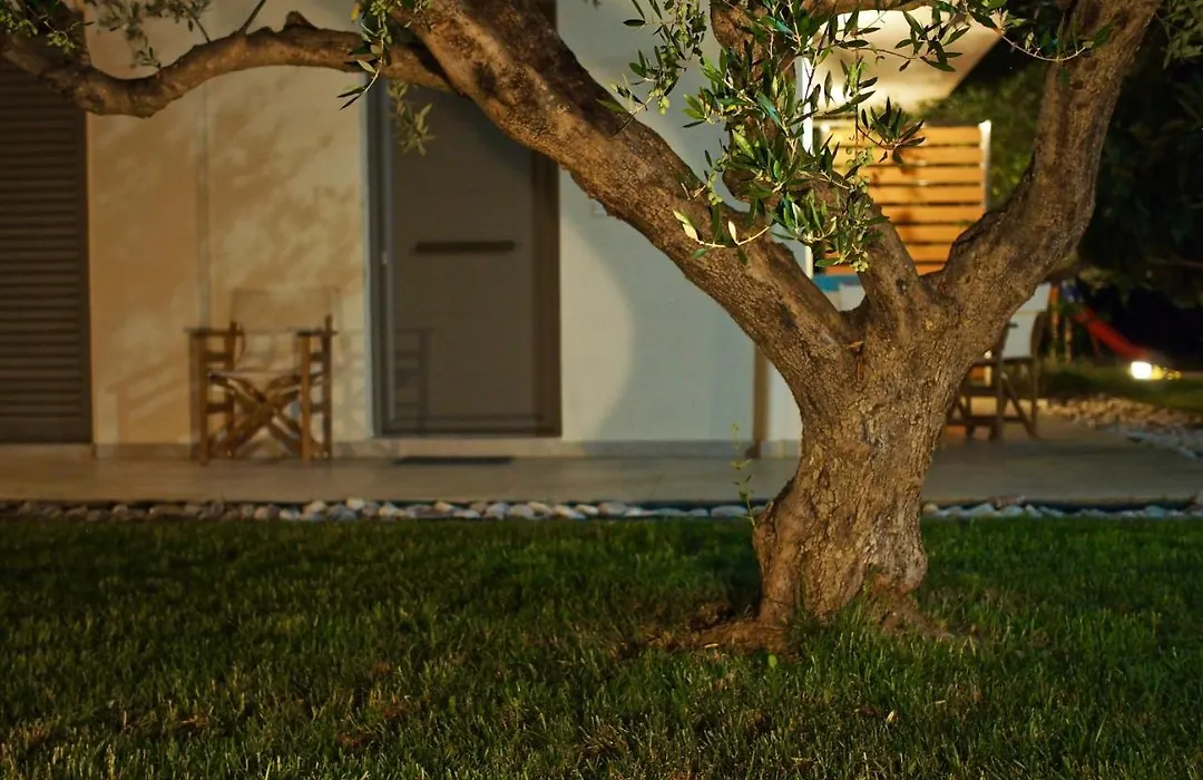 Lena Mare-1
