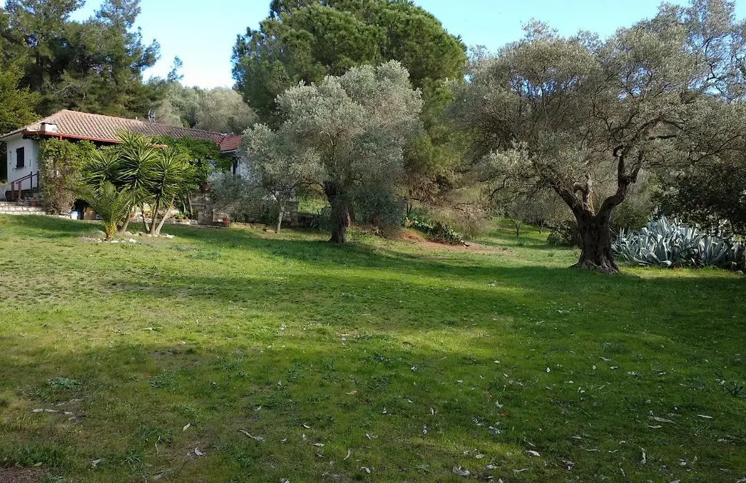 Casa Natura-1