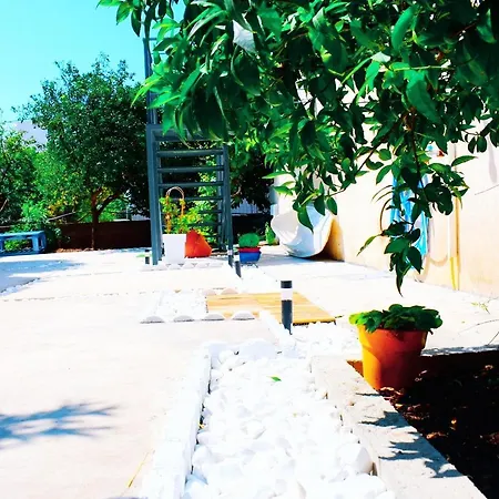 Anemoss Saranti-3