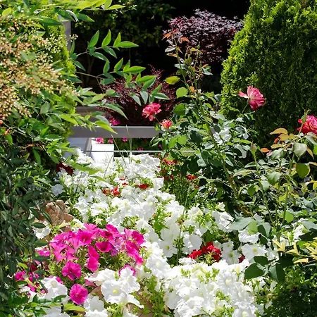 Villa Serenity-2