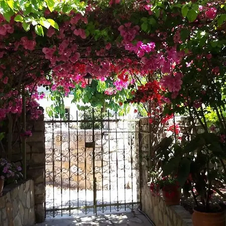 Villa Kiki Paxos Ozias-3