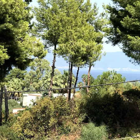 Studio Kalypso-2