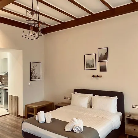 11 Luxury Apartments Metsovo-3
