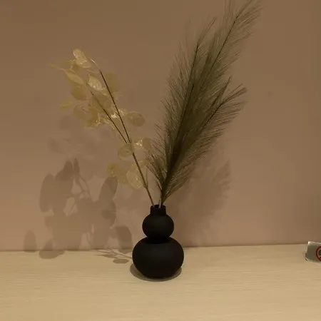 Elegant Studio-3