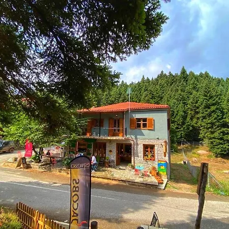 Pavliani House-3