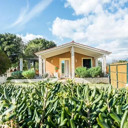 Villa Aelia - A Peaceful And Private Place-2