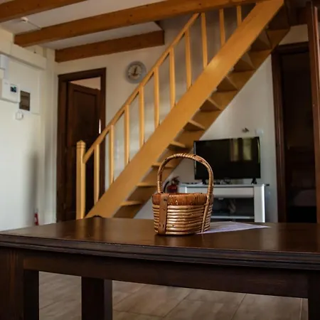 Ionion Fos-2