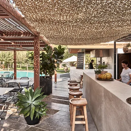 Phaea Cretan Malia, A Member Of Design Hotels-3
