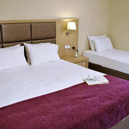 Hotel Plessas Palace-3