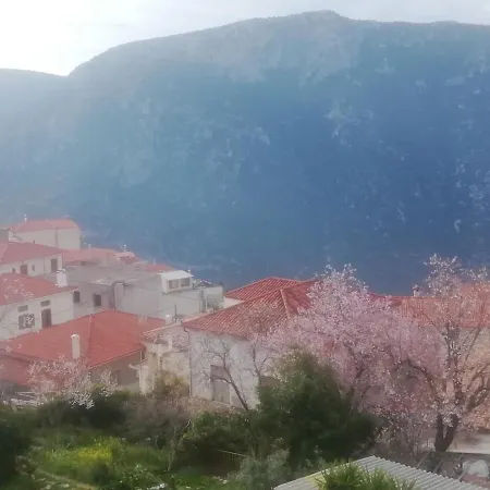 Ξενοδοχείο Καστρί-3