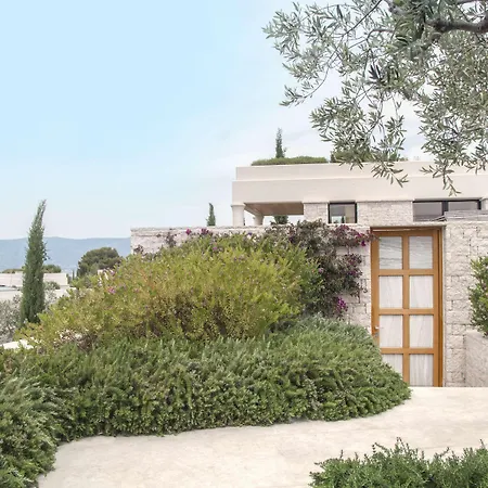 Amanzoe-2
