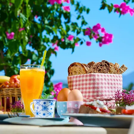 Tourist Boutique Hotel-3