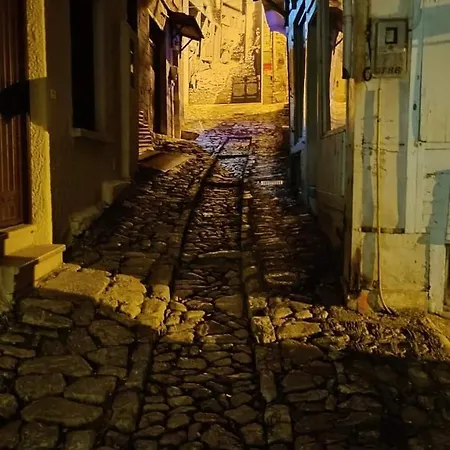 Δεσποτικον Αντωνοπουλου, Ξενωνας-3