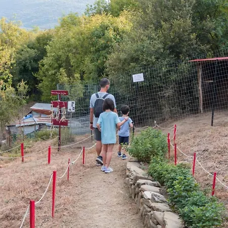 Ξενώνας museum 1ου ορόφου στο Ελληνικό Ιωαννίνων-3
