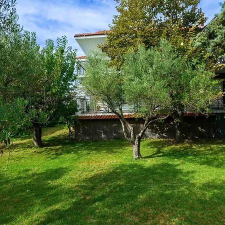 Newstory Suites Possidi-2