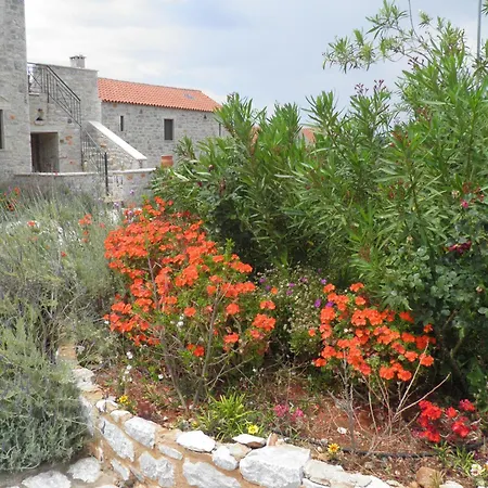 Althea Village-2