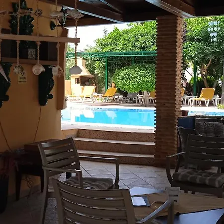 Lemon Garden-3