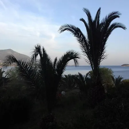 Andros Holiday Hotel-3