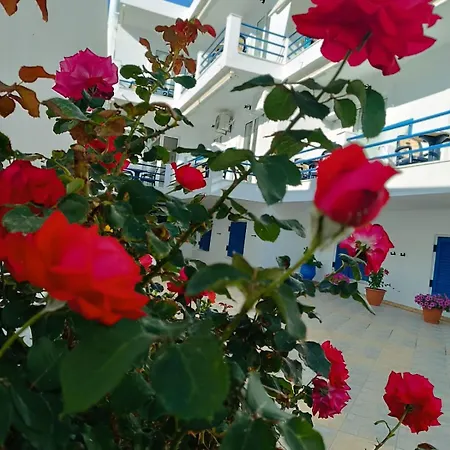 Akrogiali-3