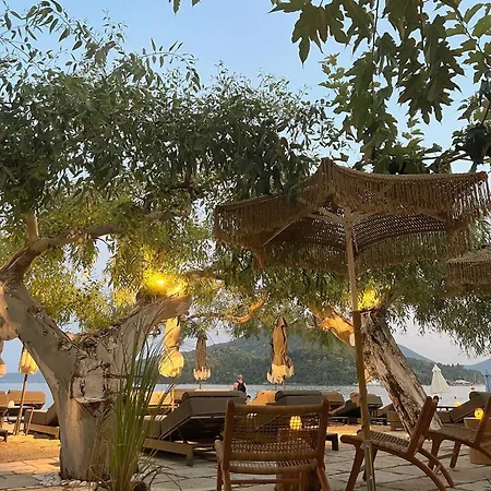 Eva Beach Hotel Lefkada-3