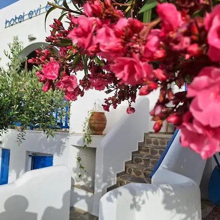 Εvi Evan Hotel-2