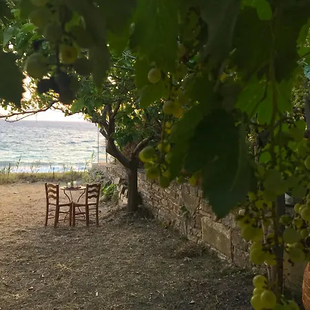 Villa Aphrodite-3
