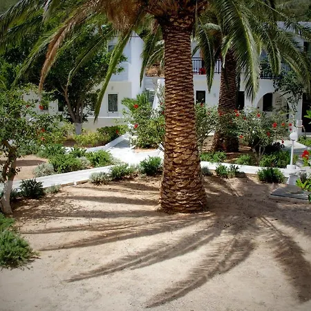 Avra Palm-3