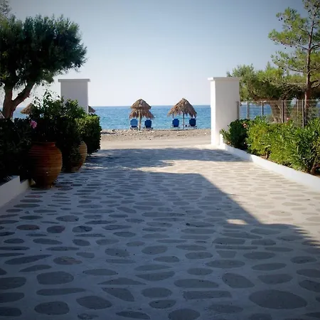Avra Palm-2