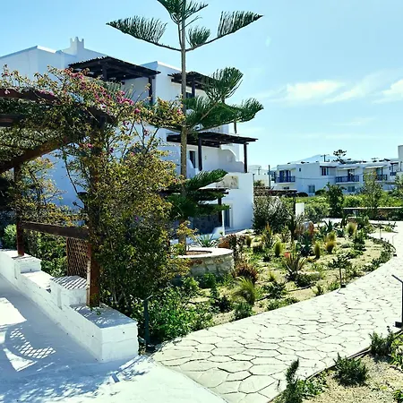 Dream On Plaka-2