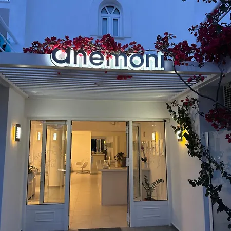 Anemoni Beach Hotel-2